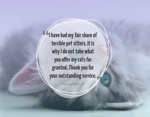 Thank you for your outstanding pet setting service