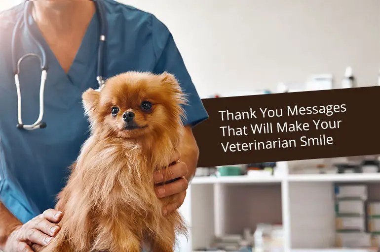 thank you quotes for veterinarian